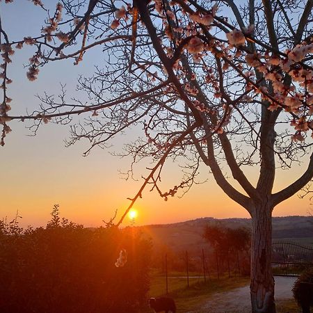 Colmurano Il Casale Di Aurora Country House المظهر الخارجي الصورة