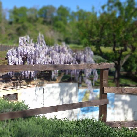 Colmurano Il Casale Di Aurora Country House المظهر الخارجي الصورة