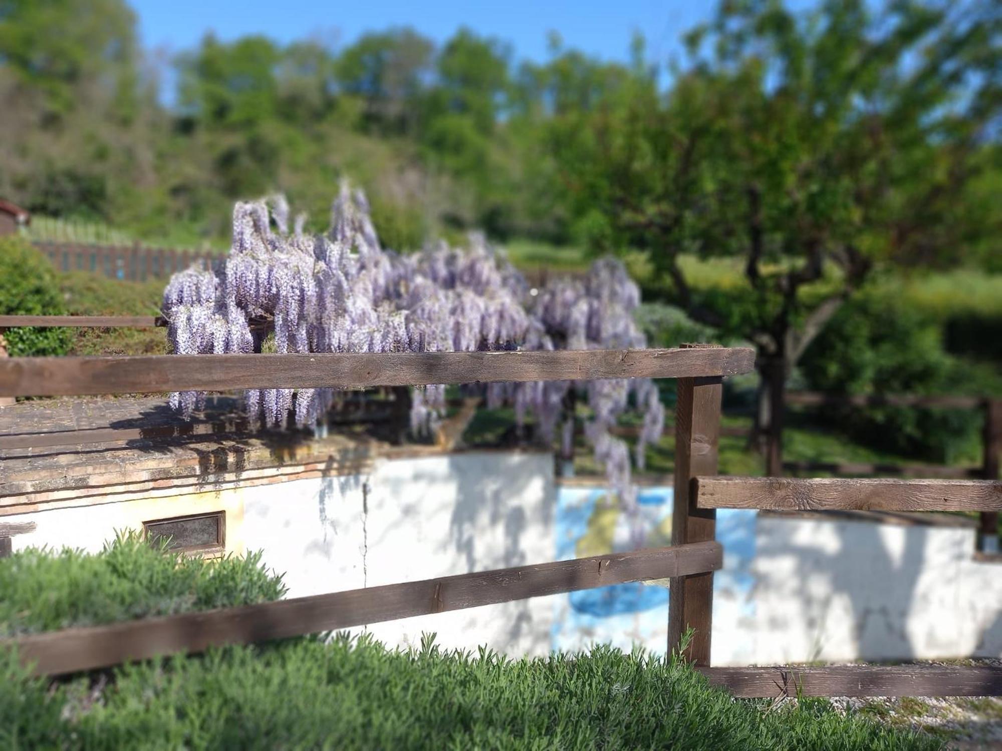 Colmurano Il Casale Di Aurora Country House المظهر الخارجي الصورة