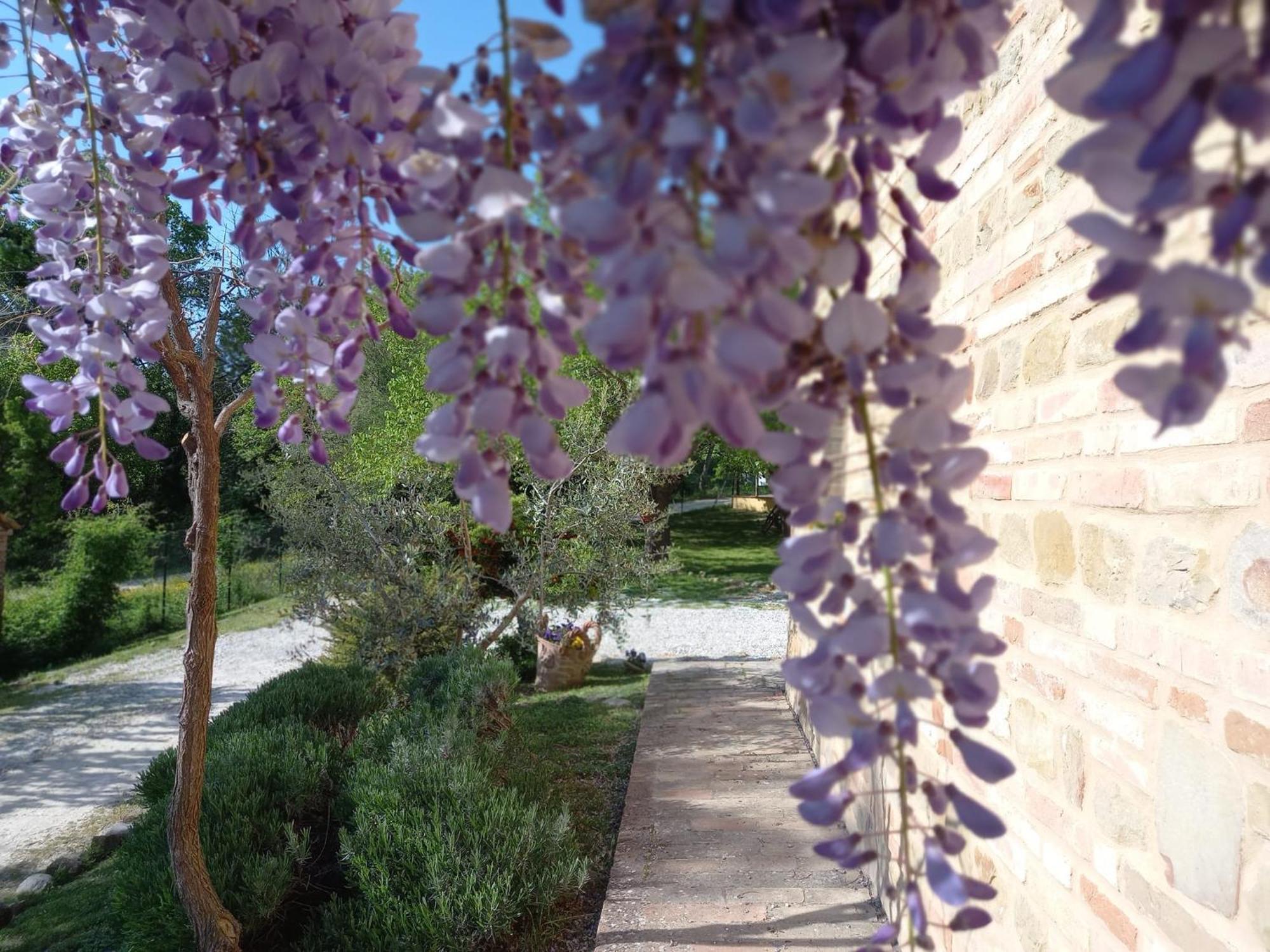 Colmurano Il Casale Di Aurora Country House المظهر الخارجي الصورة