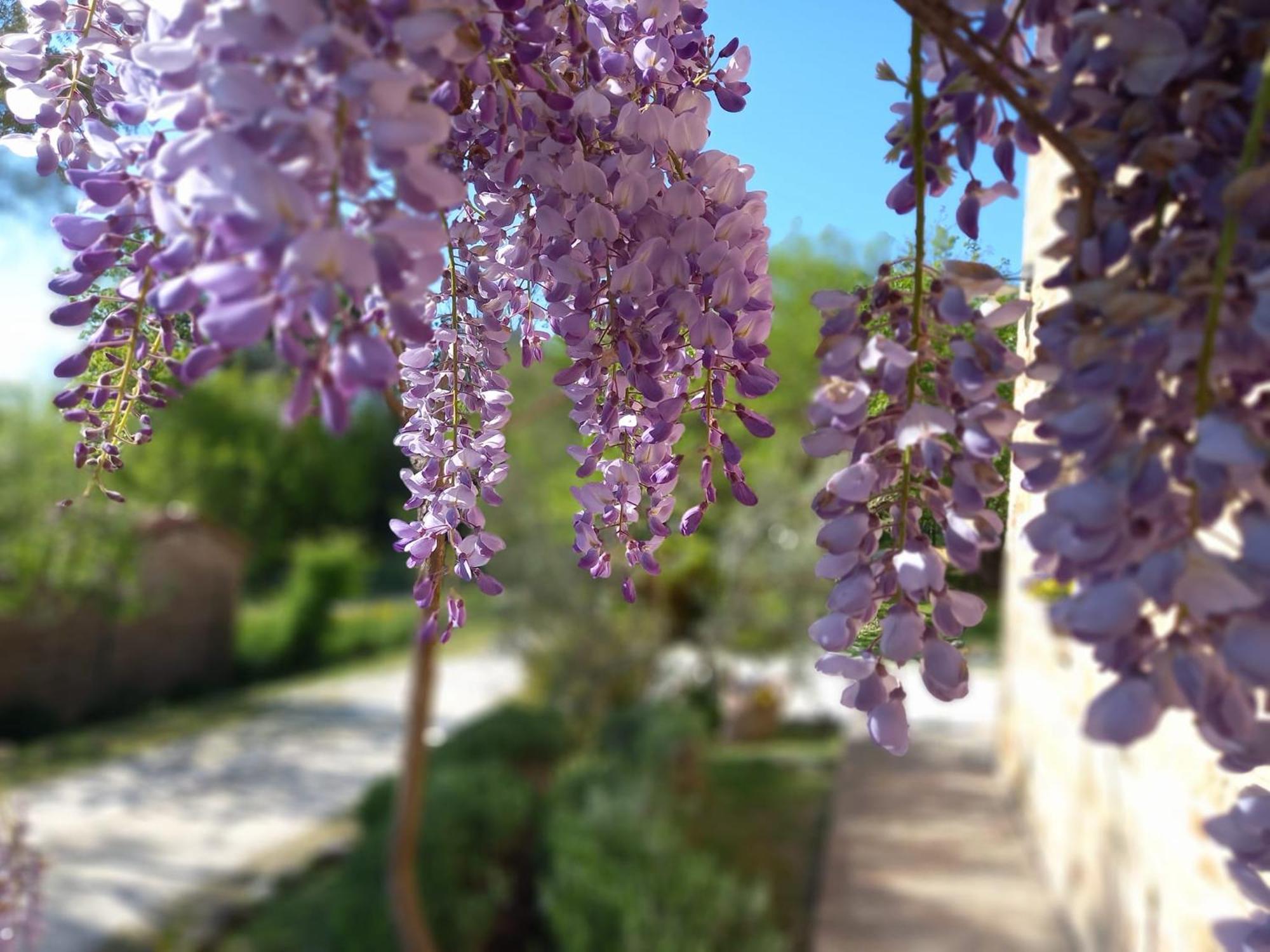 Colmurano Il Casale Di Aurora Country House المظهر الخارجي الصورة