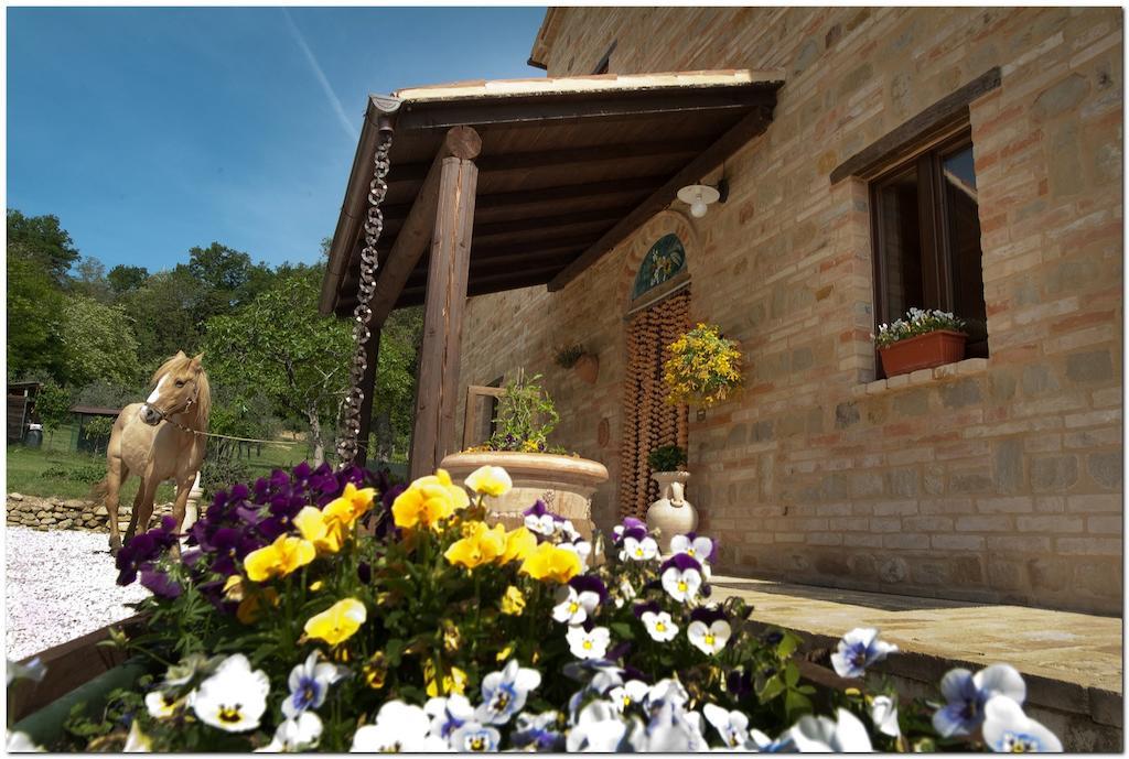 Colmurano Il Casale Di Aurora Country House المظهر الخارجي الصورة