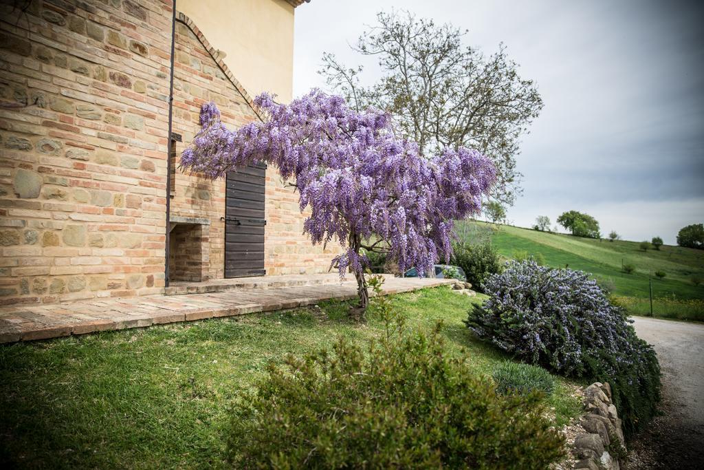 Colmurano Il Casale Di Aurora Country House المظهر الخارجي الصورة