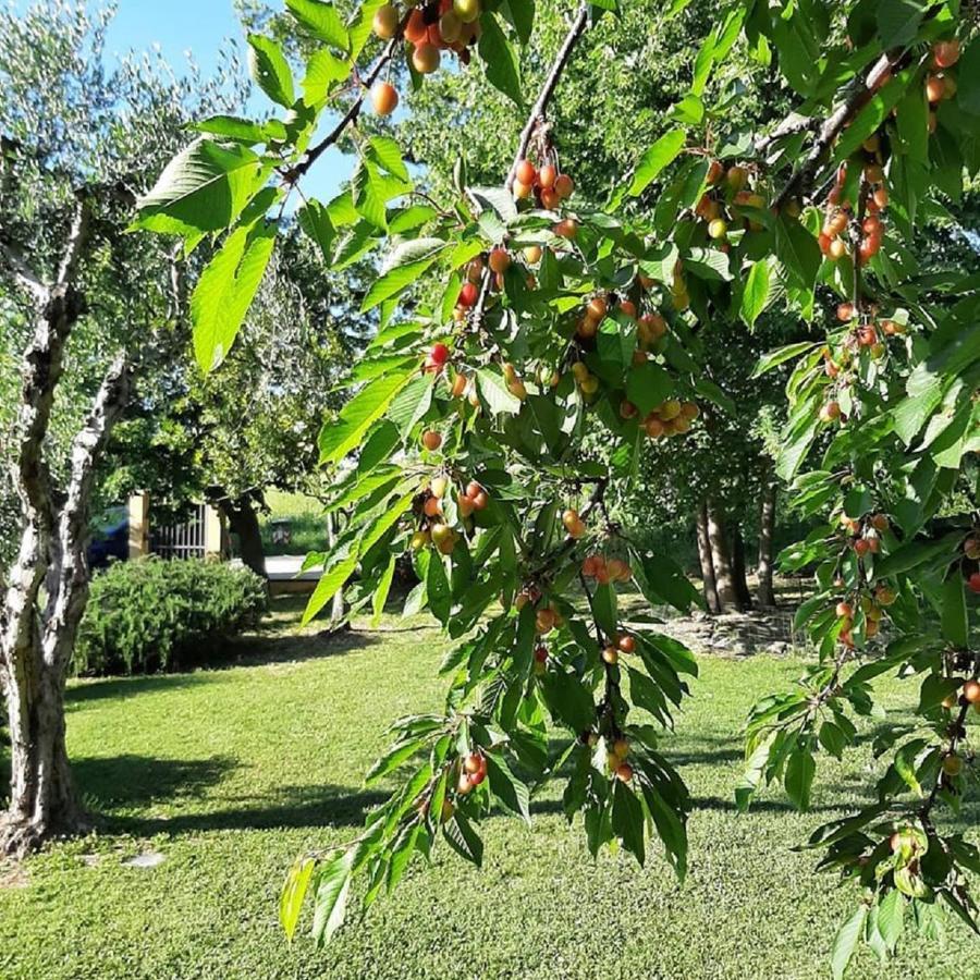 Colmurano Il Casale Di Aurora Country House المظهر الخارجي الصورة